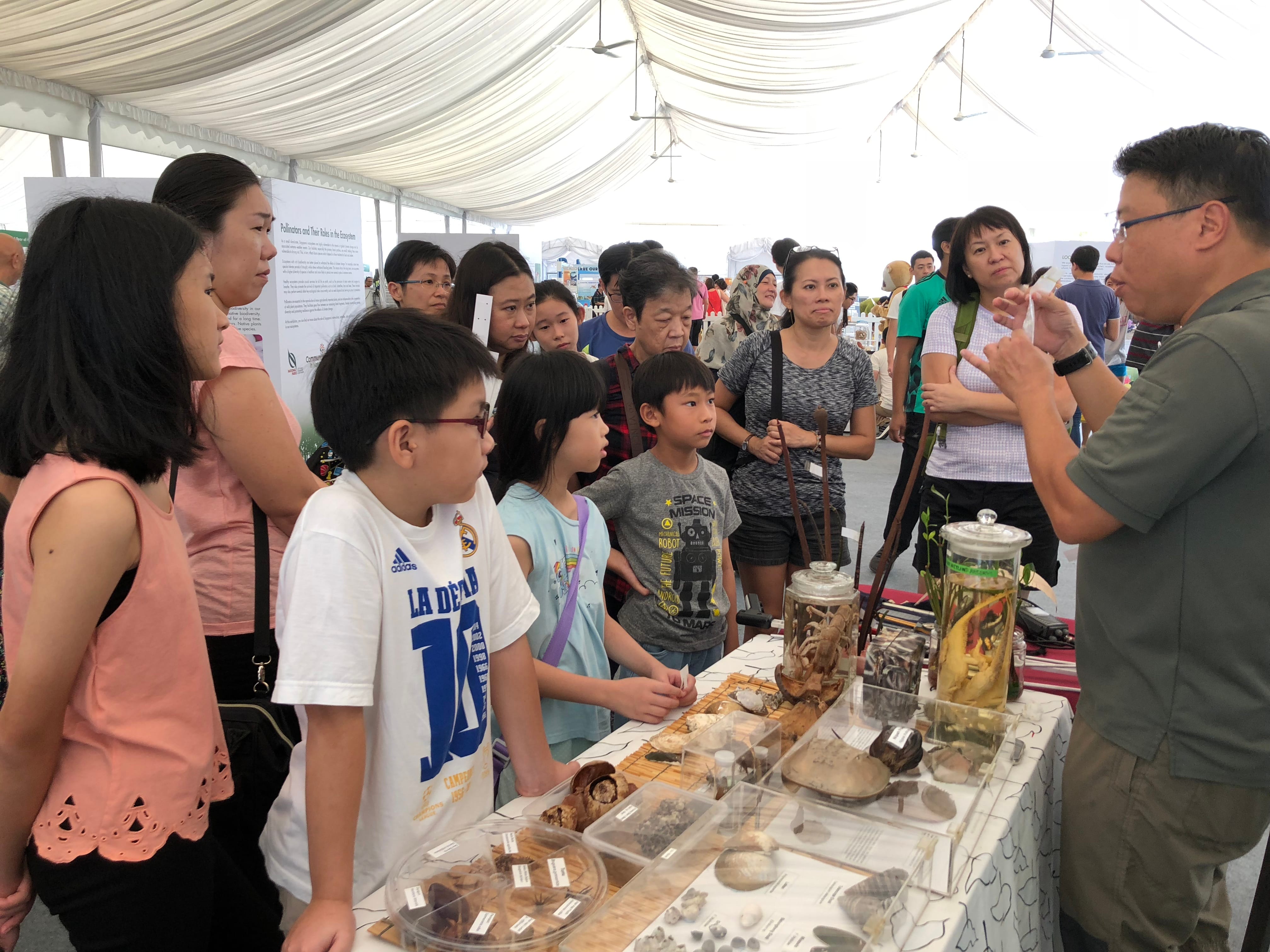 A group of people gathers under a tent, some children attend the event and listen to a person displaying natural specimens on a table.